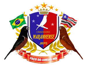 Contratação de Peso, para obter as melhores GENÉTICAS do Brasil! | Criadouro Maranhense - Curió Praia Clássico - Maranhão
